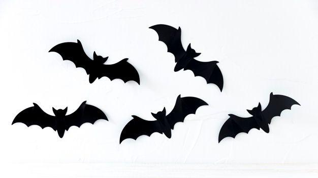 Bats Logo - Bats Vectors, Photo and PSD files