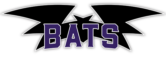 Bats Logo - Dublin Ohio Baseball | Bats Baseball Club