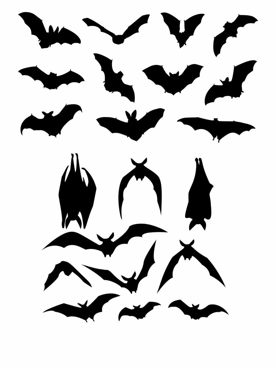 Bats Logo - Bat Flight Silhouette Logo - Bats Silhouette Free PNG Images ...