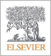 Elsevier Logo - Summary Page