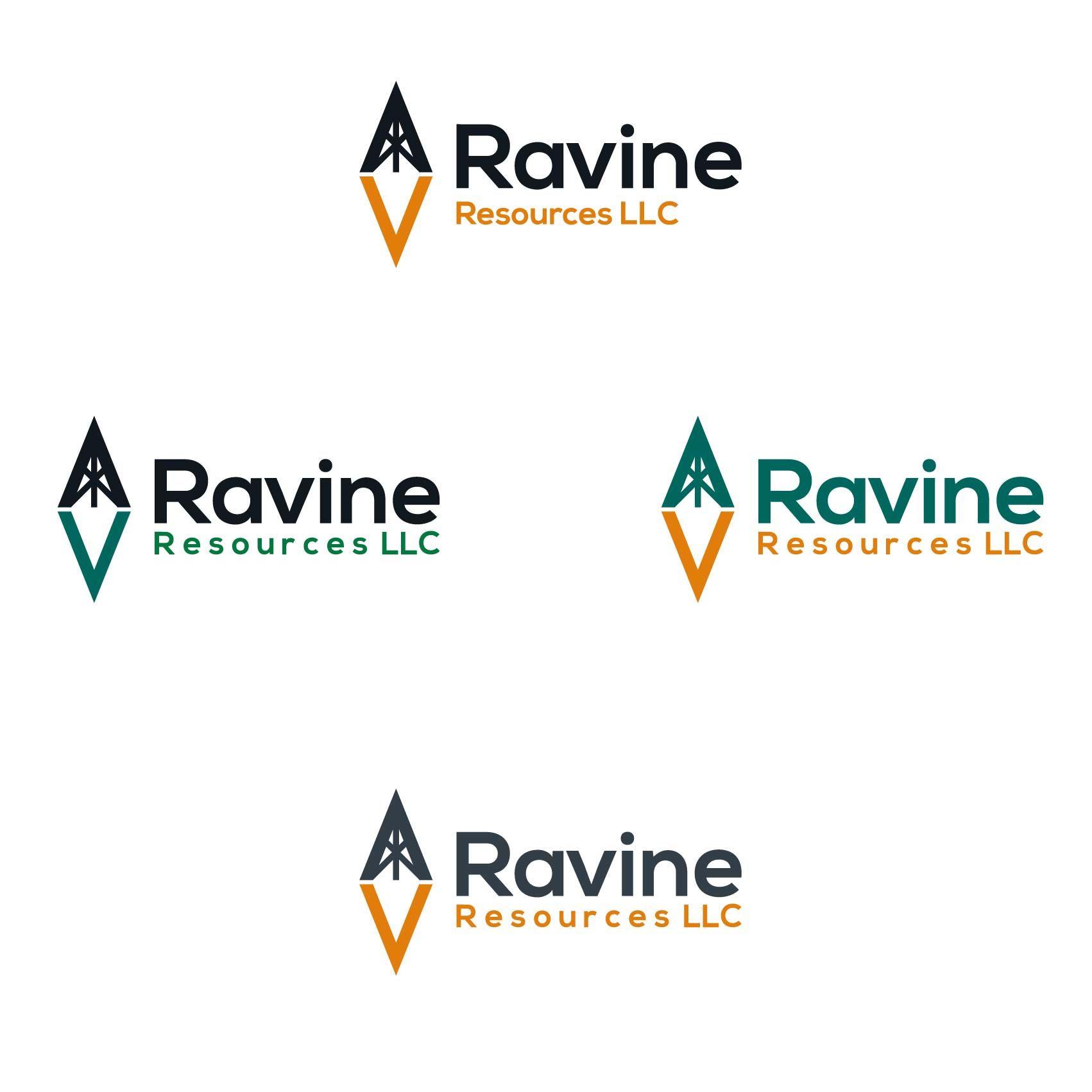 Ravine Logo - Ravine Logo for new start-up company, a Logo & Identity project by ...