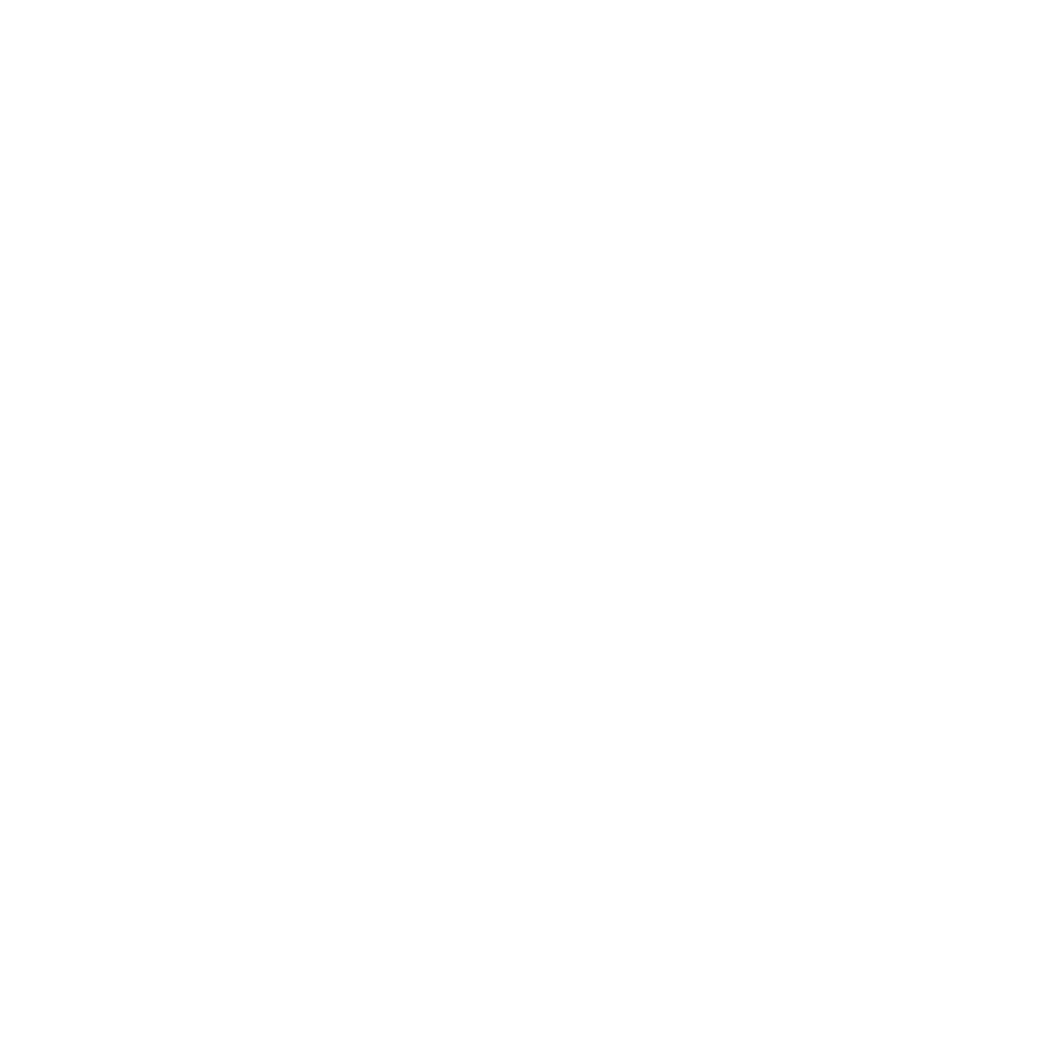Pit Logo - The Pit Gym