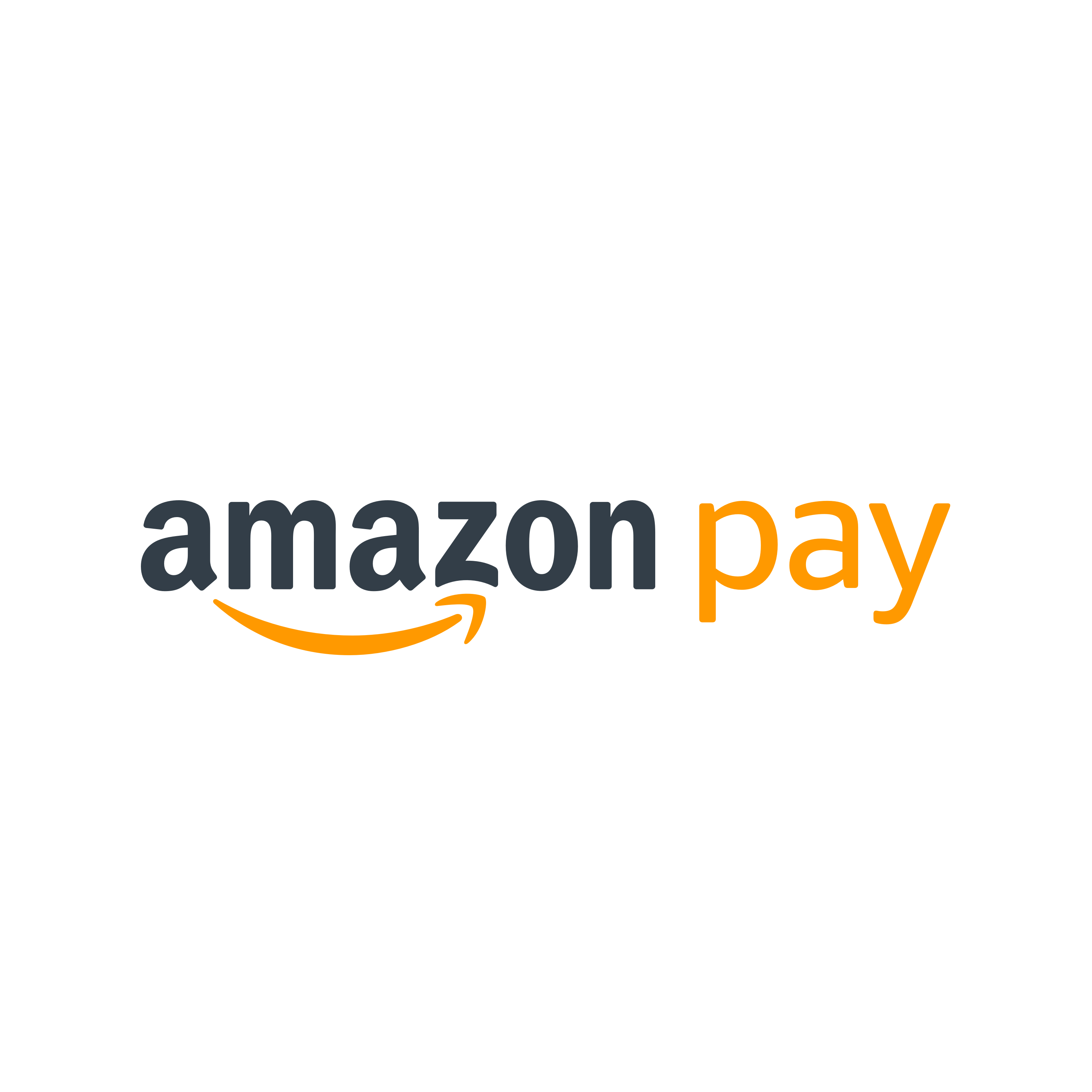 Pay Logo - Amazon Pay - WooCommerce