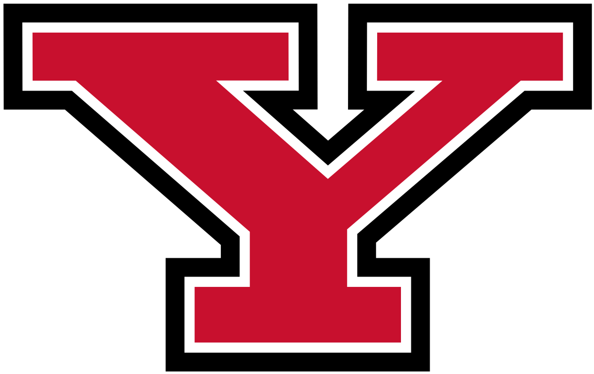 Youngstown Logo - Youngstown State Penguins
