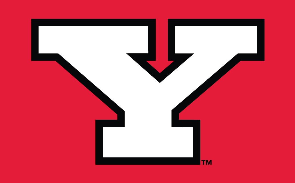 Youngstown Logo - Youngstown State Penguins Alternate Logo Division I U Z