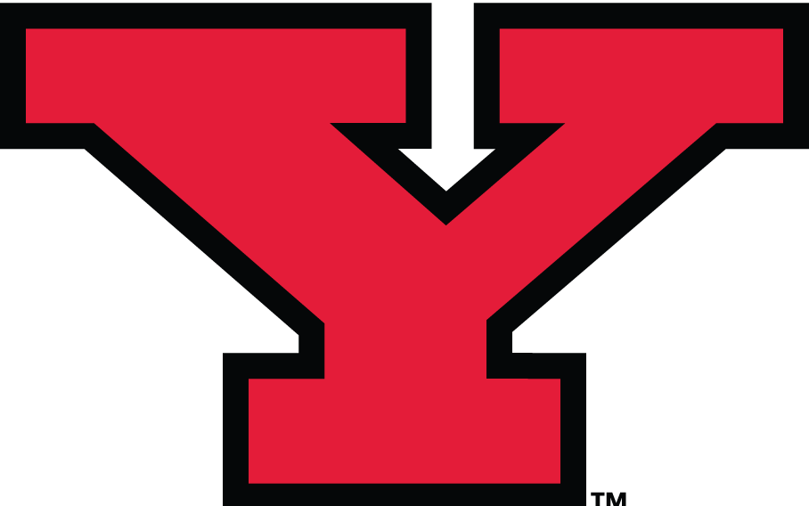 Youngstown Logo - Youngstown State Penguins Alternate Logo Division I U Z