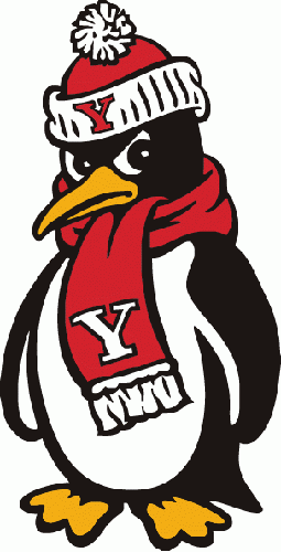 Youngstown Logo - 1989 Pres Youngstown State Penguins Mascot Logo Iron On Sticker