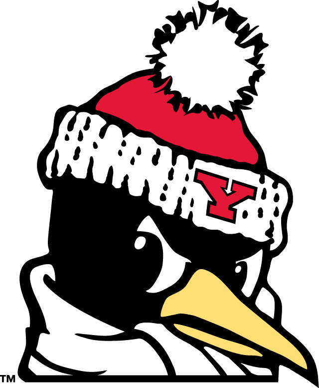 Youngstown Logo - Youngstown State Penguins Alternate Logo - NCAA Division I (u-z ...