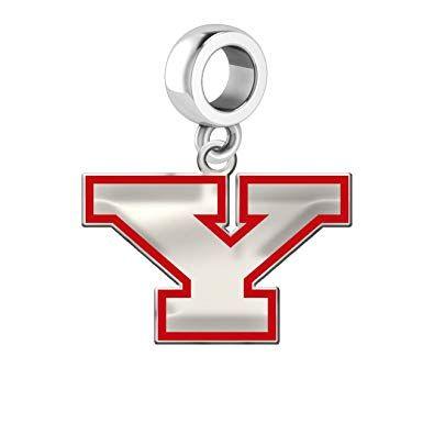 Youngstown Logo - Amazon.com: Youngstown State Penguins Silver Logo and School Color 1 ...
