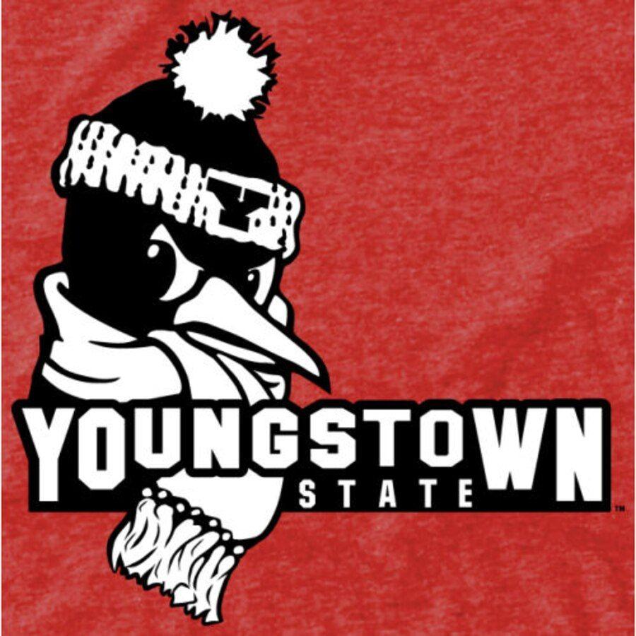 Youngstown Logo - Youngstown State Penguins Auxiliary Logo Tri-Blend T-Shirt - Red