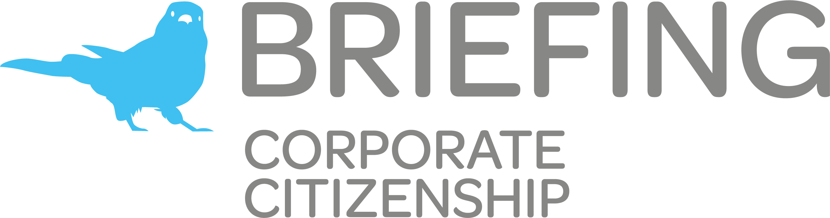 Citizenship Logo - CCBriefing. Corporate Responsibility & Sustainability News