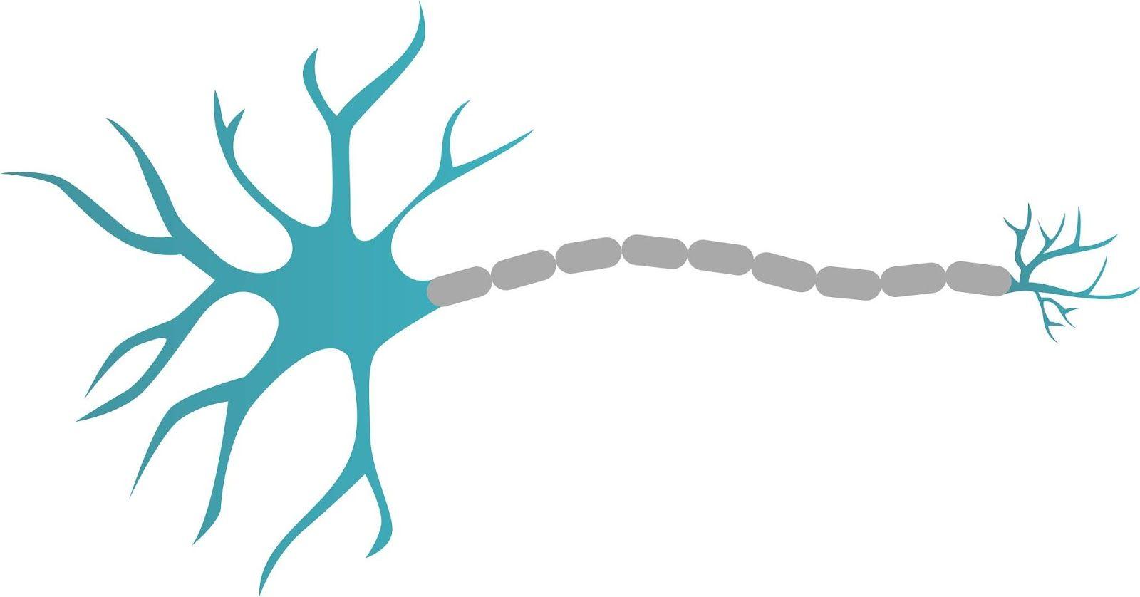 Neuron Logo - 3 Neuron png logo, Neuron png design, Neuron Design, Neuron logo ...