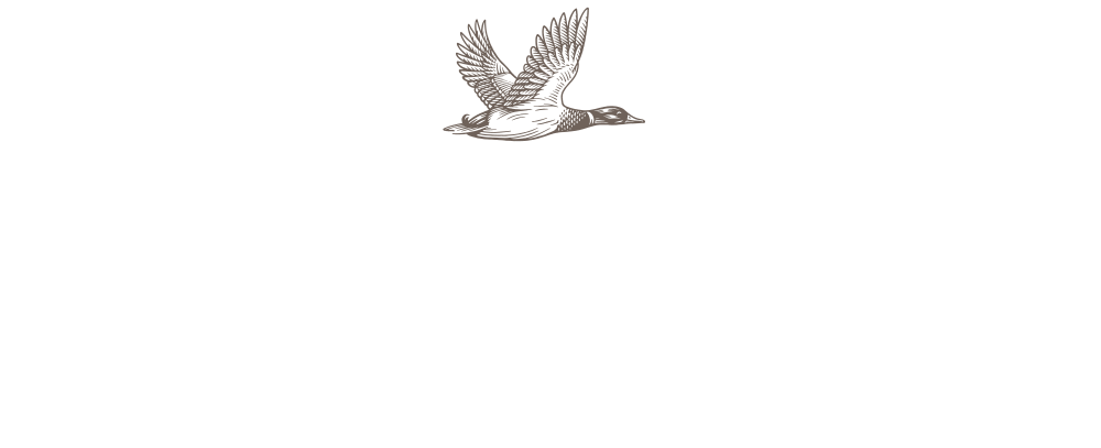 Duckhorn Logo - Duckhorn Portfolio. Corporate, Trade and Media Site