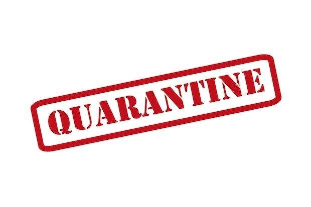 Quarantine Logo - Video: To Quarantine or Not to Quarantine – The Wisdom Daily