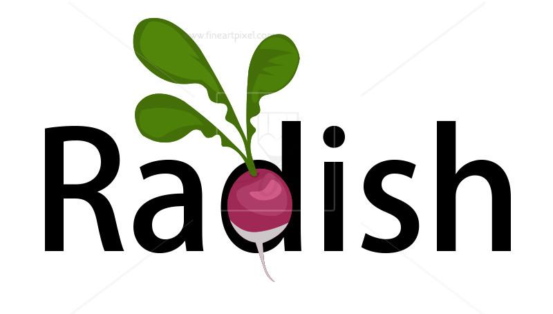 Radish Logo - Radish Logo | Free vectors, illustrations, graphics, clipart, PNG ...