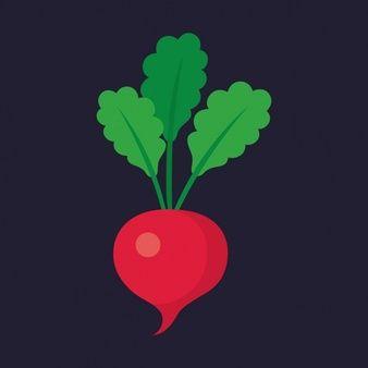 Radish Logo - Radish Vectors, Photos and PSD files | Free Download