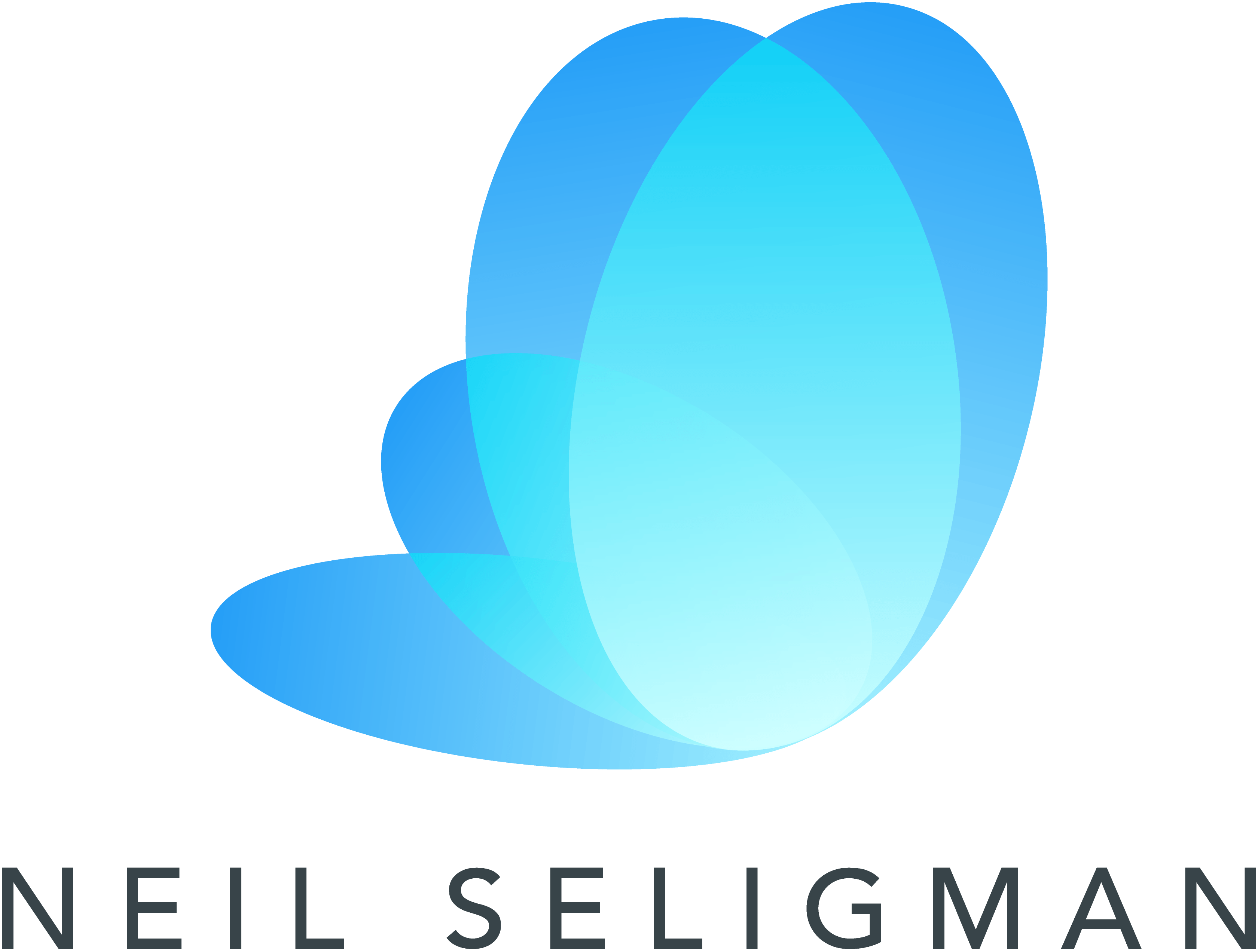 Neil Logo - Neil Seligman | Mindfulness Expert, Author & Inspirational Speaker