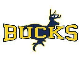 Buckhorn Logo - Varsity Football - Buckhorn High School - New Market, Alabama ...