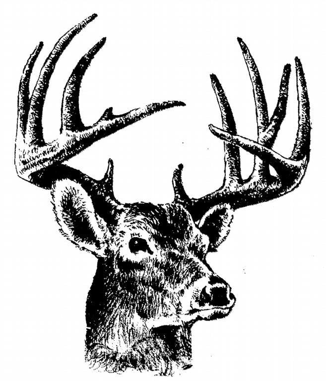 Buckhorn Logo - Buckhorn Printing & Supplies Braunfels TX 78130 624 1668