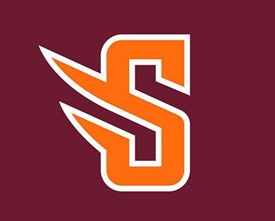 Susquehanna Logo - Susquehanna Unveils Imagery for New River Hawks Mascot – Susquehanna ...