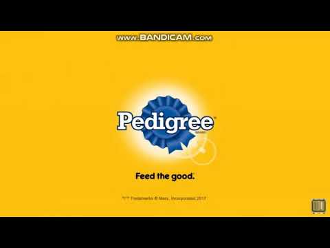 Pedigree Logo - Pedigree logo history