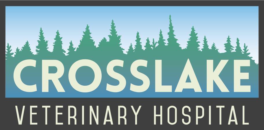Crosslake Logo - Veterinarian in Crosslake, MN | Crosslake Veterinary Hospital