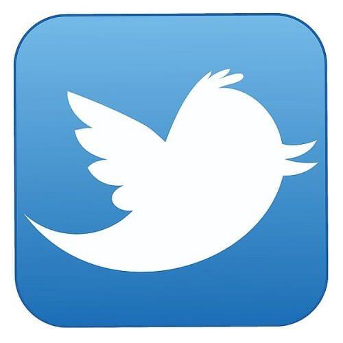 Twitter's Logo - Twitter Logo Design History and Evolution | LogoRealm.com
