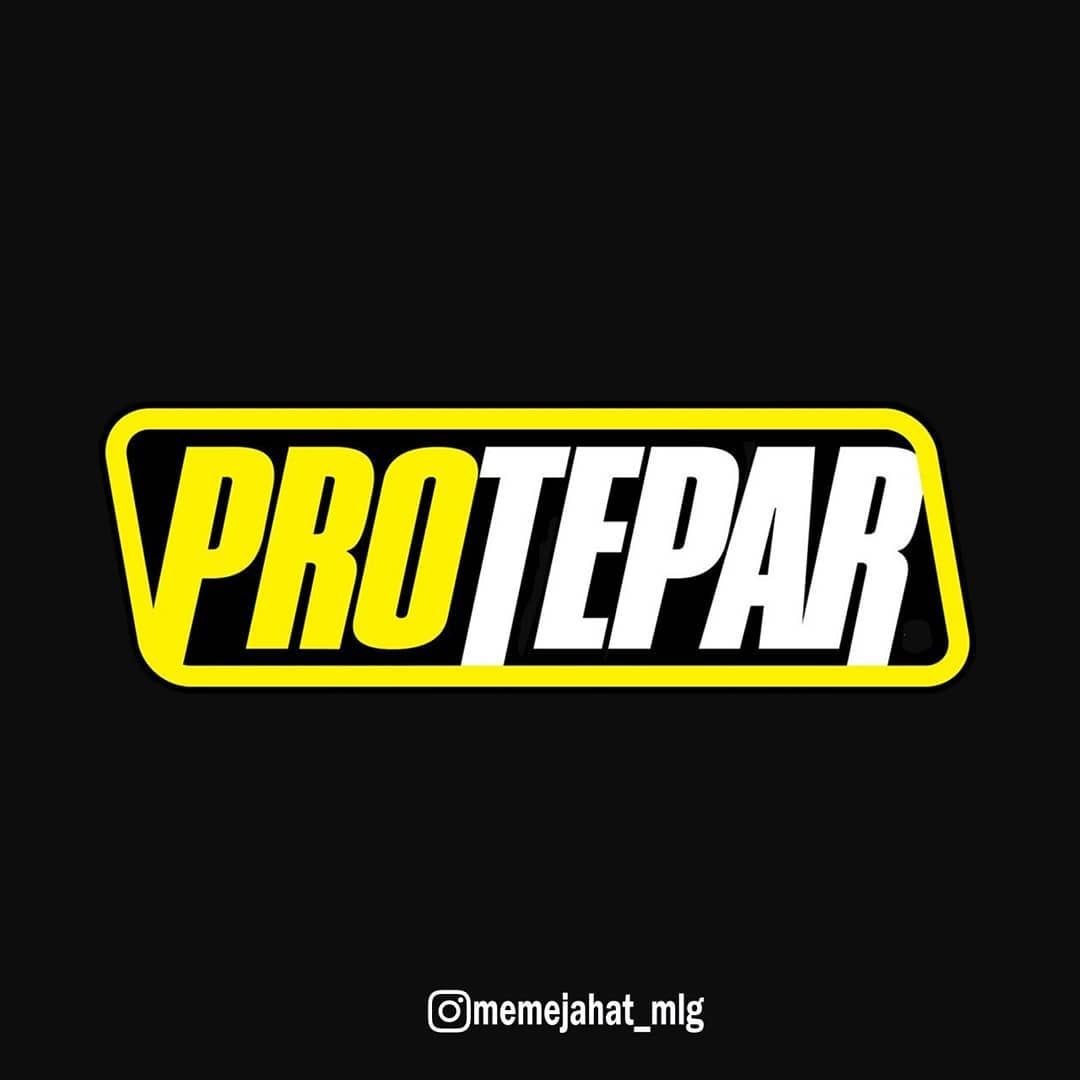 ProTaper Logo - Pin page