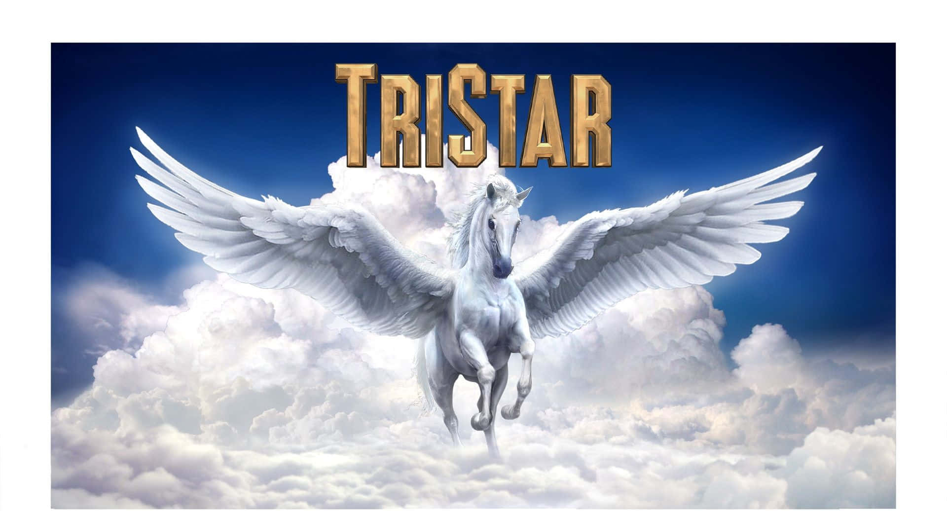Tristar Pictures Logo - 100+] Tristar Picture | Wallpapers.com