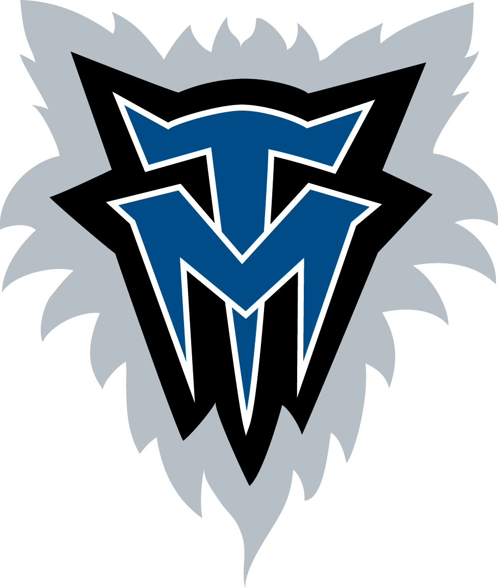 Minnesota Timberwolves Logo - Minnesota Timberwolves — Sports Design Agency