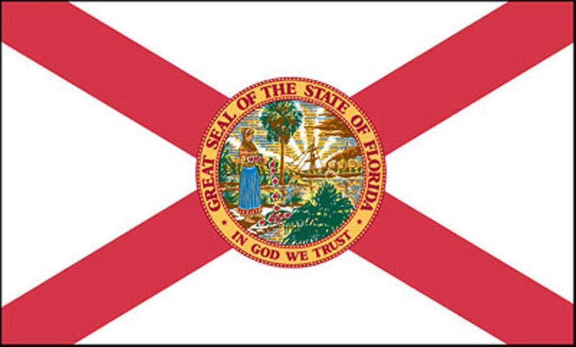 White and Red X Logo - Historians differ on whether Florida flag echoes Confederate banner