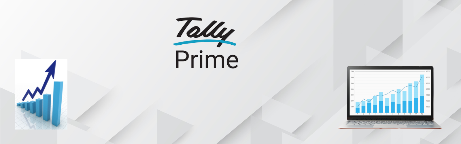 TallyPrime Logo - Ishika Infosolutions - Tally & ERP Software Solutions Since 2006