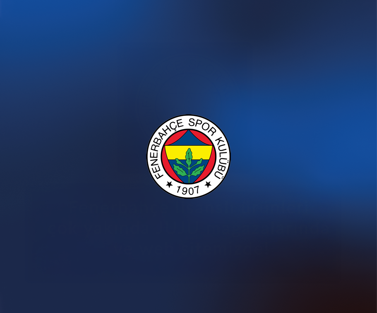 Fenerbahçe Logo - Fenerbahce Licensed Collection