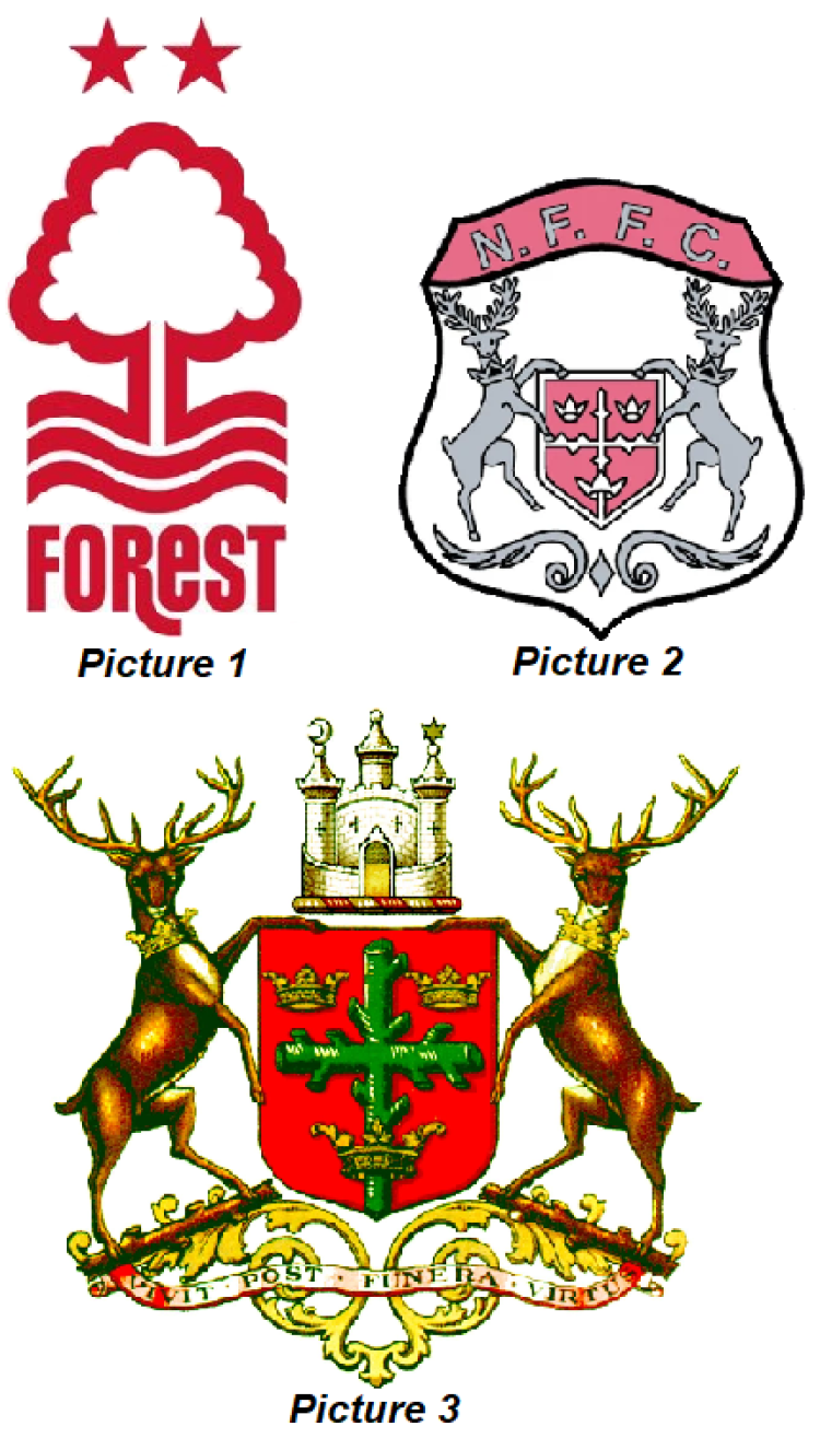 Nottingham Forest Logo - NOTTINGHAM FOREST – whatsbehindthebadge