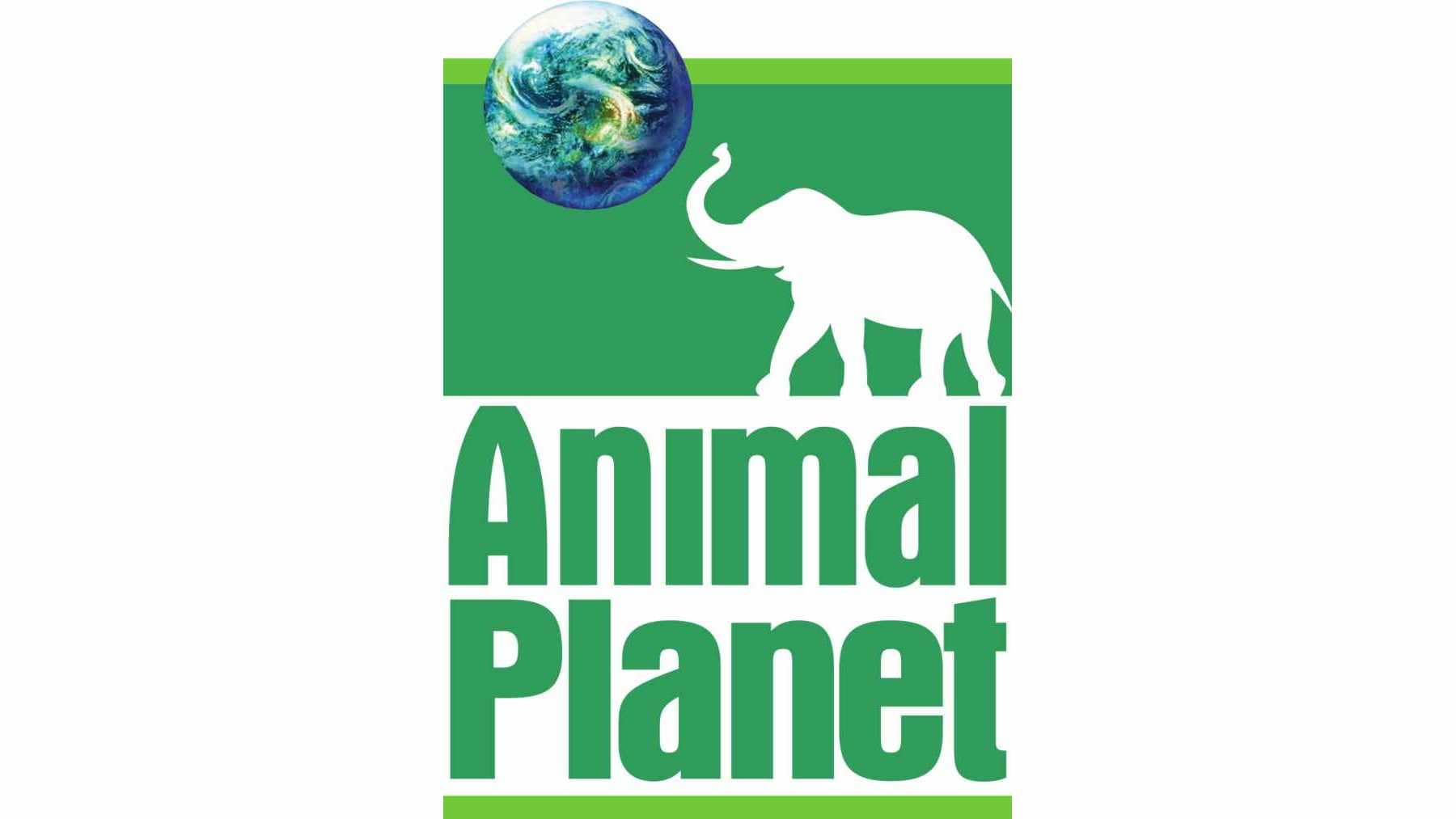 Animal Planet Logo - Anyone remember the old Animal Planet logo? : r/nostalgia
