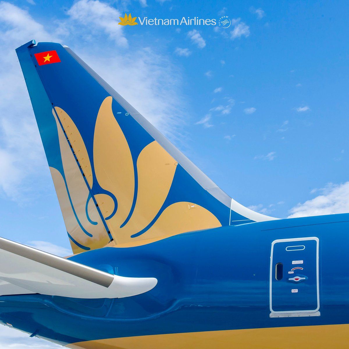 Vietnam Airlines Logo - The airline has established a prominent airline brand with the golden lotus  symbol and the slogan 