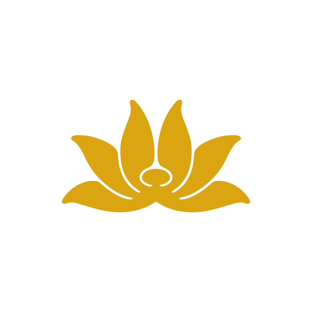 Vietnam Airlines Logo - Vietnam Airlines