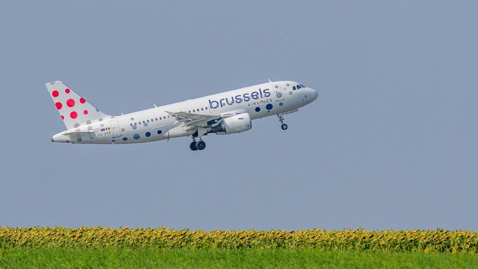 Brussels Airlines Logo - Brussels Airlines To Grow In Summer 2025 With More Seats And Increased  Flight Frequencies