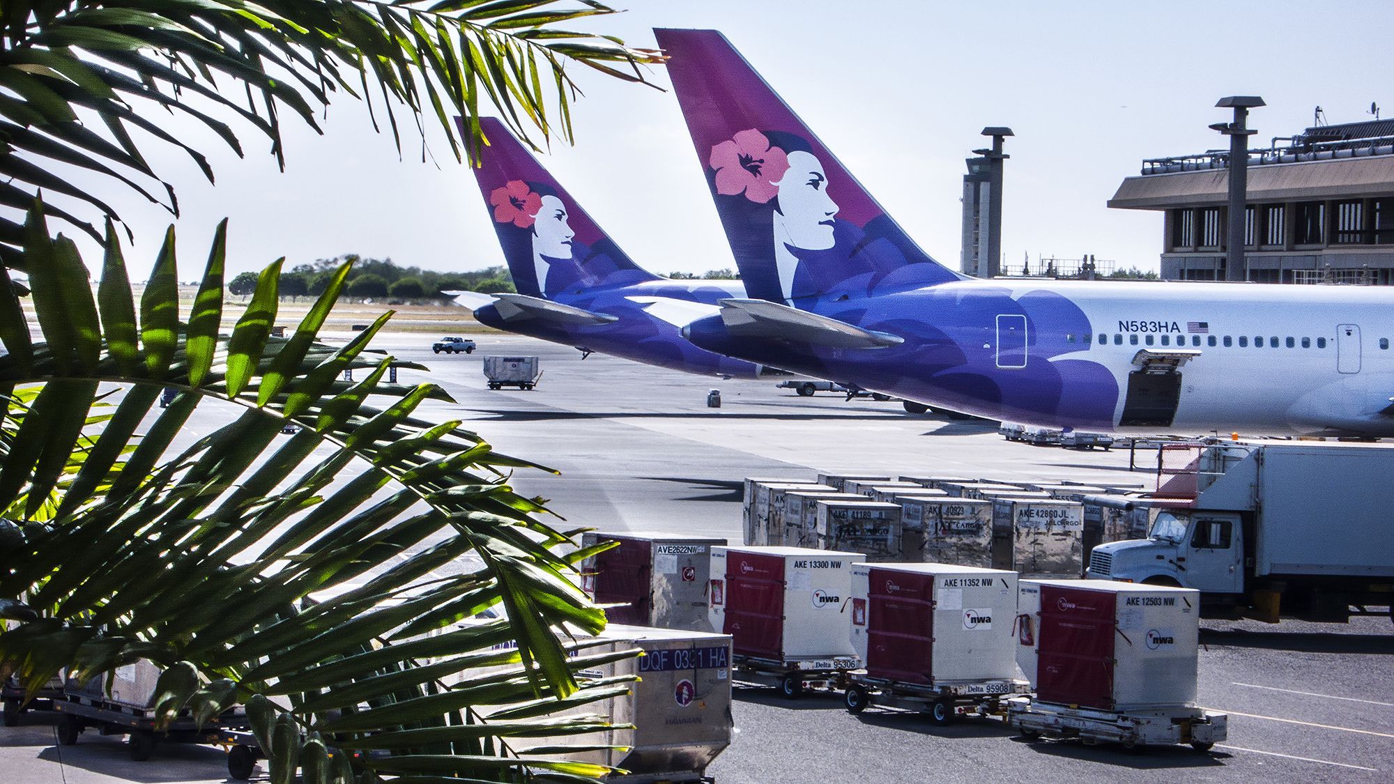 Hawaiian Airlines Logo - Face of the iconic Hawaiian Airlines logo has died | CNN Business
