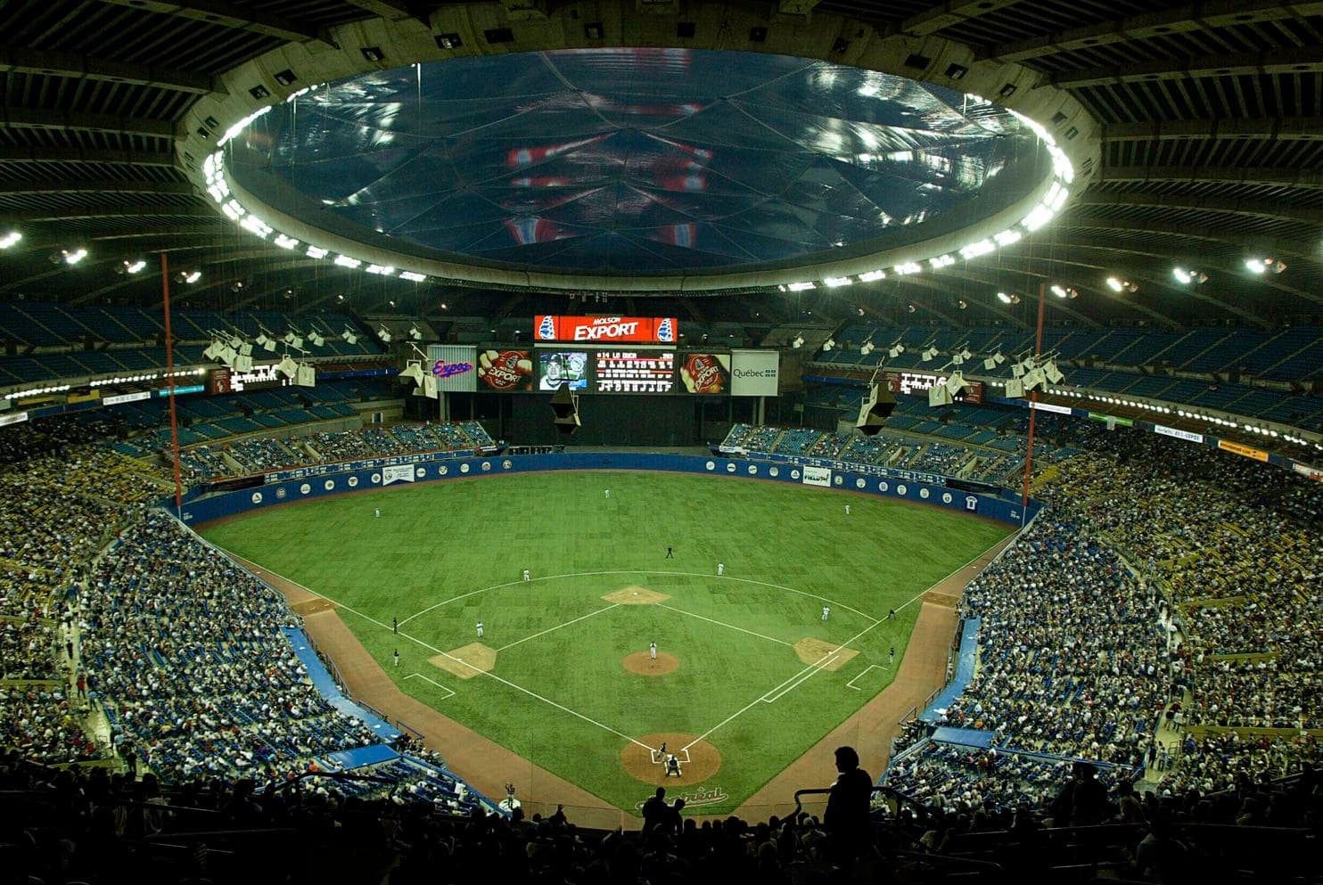 Orlando Rays Logo - Catch some Florida Rays in Orlando?