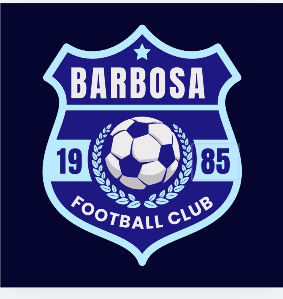 DLS Logo - DLS Logo - User Upload