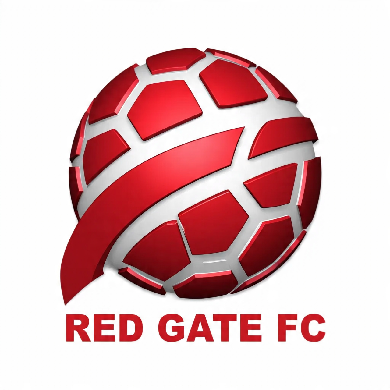 DLS Logo - DLS Logo - User Upload