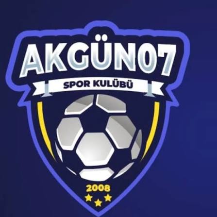 DLS Logo - DLS Logo - User Upload