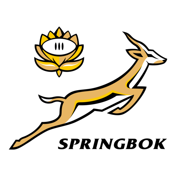 DLS Logo - DLS Logo - User Upload