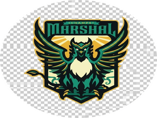 DLS Logo - DLS Logo - User Upload