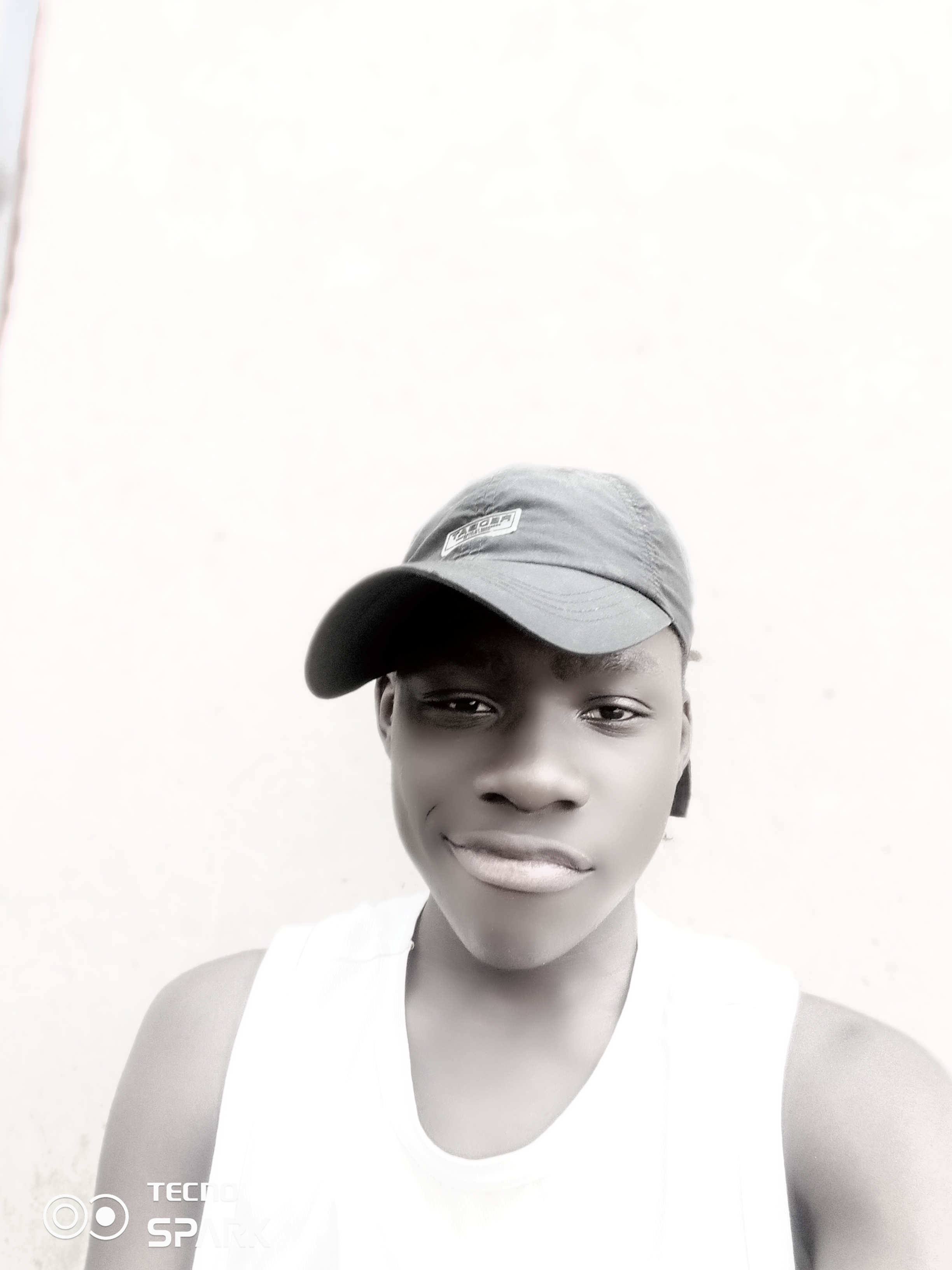 DLS Logo - DLS Logo - User Upload