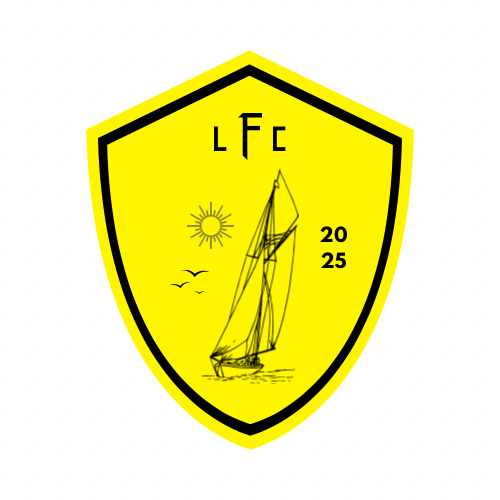 DLS Logo - DLS Logo - User Upload