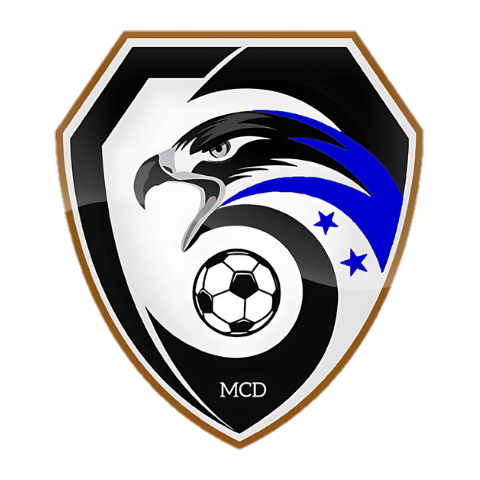 DLS Logo - DLS Logo - User Upload