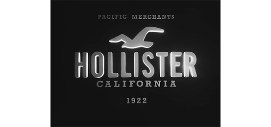 Hollister Logo - Hollister Co. in Staten Island, NY | Staten Island Mall