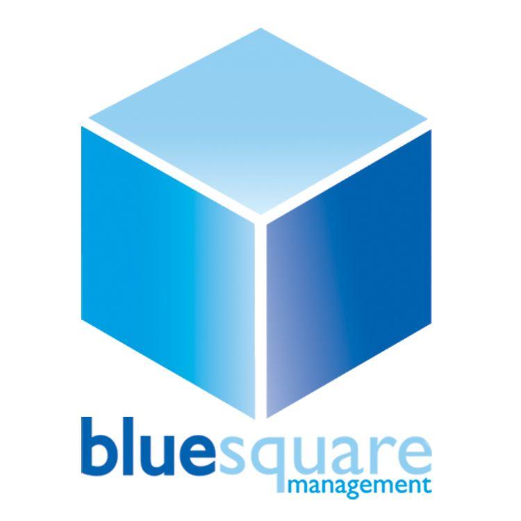 Blue Square Logo - SEO & Web Design Company Bromley Kent & London Blue Square Management